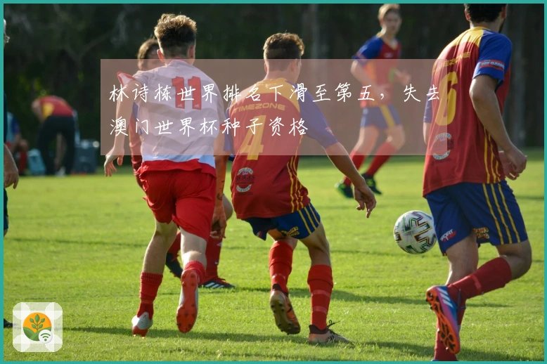 林诗栋世界排名下滑至第五，失去澳门世界杯种子资格