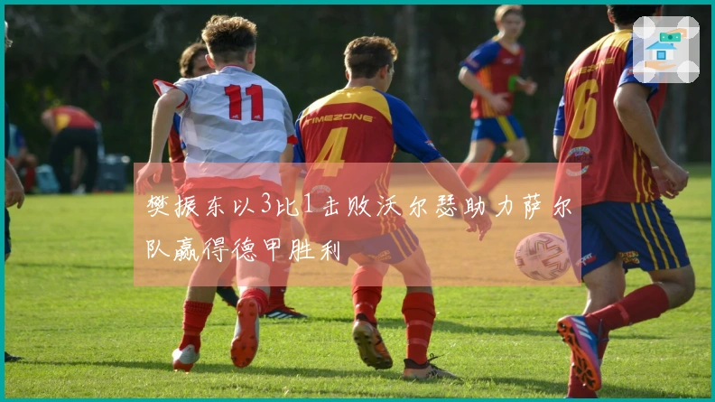 樊振东以3比1击败沃尔瑟助力萨尔队赢得德甲胜利