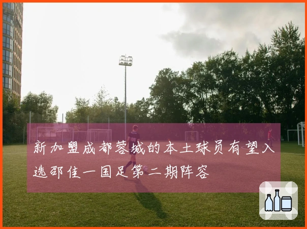 新加盟成都蓉城的本土球员有望入选邵佳一国足第二期阵容