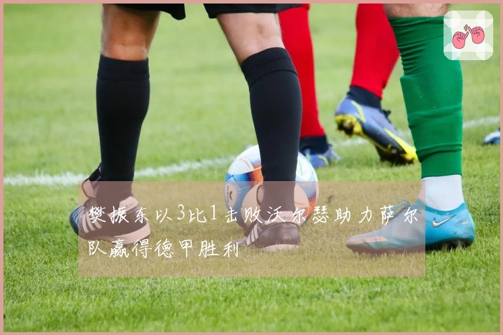 樊振东以3比1击败沃尔瑟助力萨尔队赢得德甲胜利